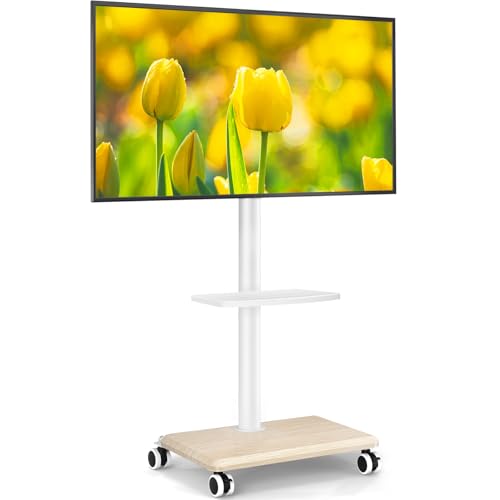5Rcom TV Portatile con Piedistallo con Ruote per 27-55 Pollici,