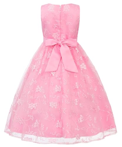 JerrisApparel Girl's Lace Floral Embroidery Dress Flower Girl Dress Sleeveless A-Line Tulle Gown2