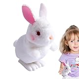 Générique Wind Up Toy - 12.5x8x5.5cm Bunny Plush Toys | Clockwork Toy |...