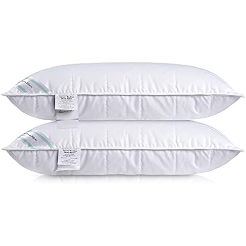 Natural Goose Down & Feather Pillow Pair(50% Down), Luxury Sleeping Pillow with Downproof Dual Layer Pillow Cover, Medium / Soft Density Support Pillow For Back & Side Sleeper (1 pair,19x29 inch) Cover