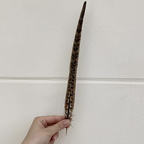 10Pcs Natural Pheasant Feathers Pheasant Tails 10-12" For Crafts Hats Decor Costume Accessories Festival Party Decorations Christmas Tree Ornaments #TOP2