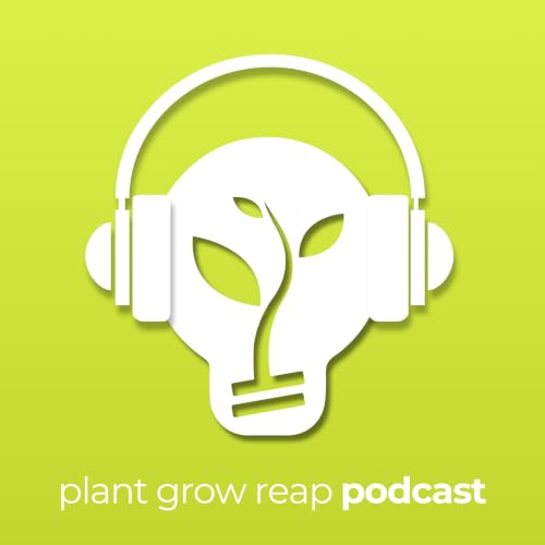 How Can Business Owners Manage Psychosocial Risk with Nick Gearen (Shift HR)