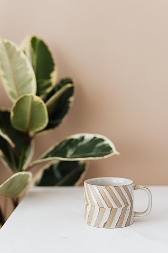 Té Matcha sachets 20 unidades y polvo 30 g miniatura 5