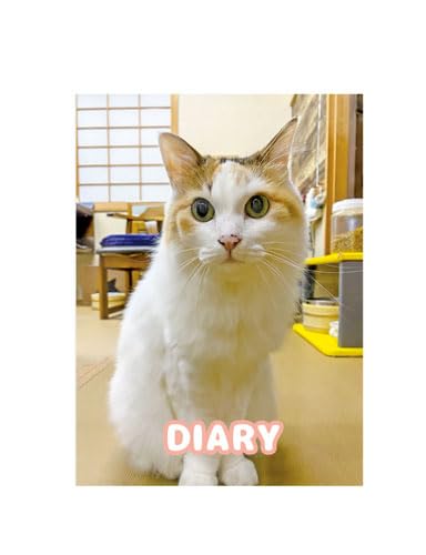 y\̔z L̂ɂ񂽂 2025N L DR25024