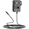 21V Lithium Battery Charger for Mini Chainsaw, Leaf Blower, Electric Pruning Shears - 20V/21V Power Tools Battery Charger