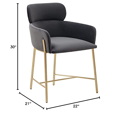 Safavieh Couture Home Collection Charlize Velvet Upholstered Living Room Dining Accent Chair (Fully Assembled) Sfv4757B, Dark Grey/Gold #TOP6