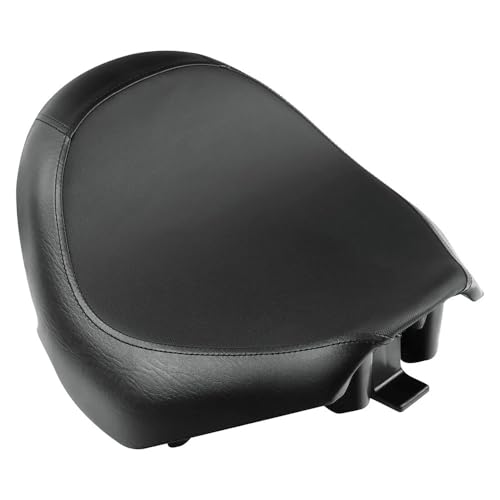 Asiento Pillion Boulevard M109R que soluciona la fatiga en la VZR1800 4