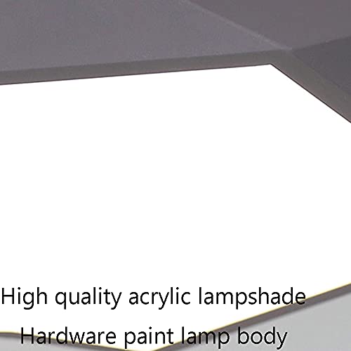 Luminaire de plafond LED style ferme moderne pour décorer la chambre