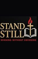 Stand Still: Winning Without Swinging B0F5X6Y2FZ Book Cover