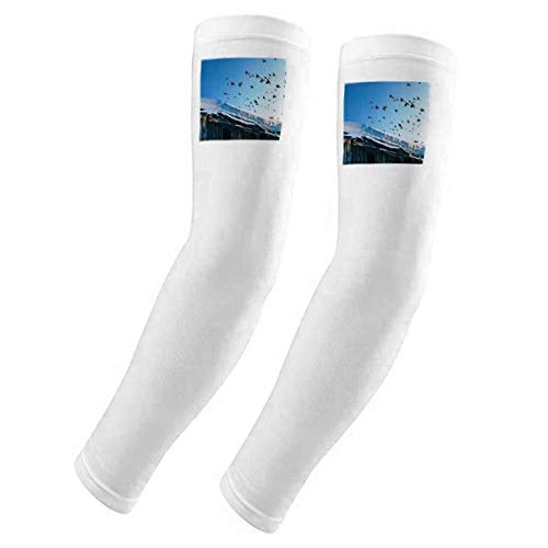 Housse de protection solaire bras oiseaux blanc neige idéale pour le cyclisme et rando