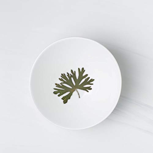 Exceart folhas secas reais prensadas hortênsias flores prensadas folhas secas naturais para arte de