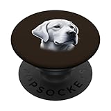 labrador chocolate ojos azules comprar Ideal para paseos con tu mascota por el parque o para ropa casual en casa. ¡Muéstrale al mundo tu amor por White Lab y prepárate para los cumplidos! ¡Gran iniciador de conversación! Divertido diseño de Labrador para el fanático del perro Labrador.