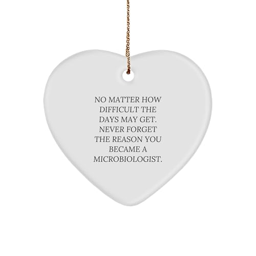 Microbiologist Heart Ornament Gifts from Friends for Christmas - 'Never