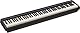 Roland FP-10 Digital Piano - Entfalte deine Kreativität mit integrierten Sounds, Übungsfunktionen und Apps, Schwarz & DP-10 Dämpfer-Pedal