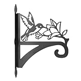 yeeplant Colgador colgante de hierro para plantas de 15.7 pulgadas, soporte de pared con silueta de colibrí, resistente para comederos de pájaros, linternas y macetas