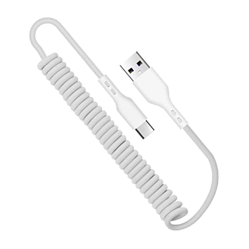 DEHUA Spring high Current 5A Quick Charge Type C USB Data Cable (Wire Length 7IN, White, 200)
