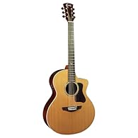 Faith Guitars Electro Acoustic Guitar