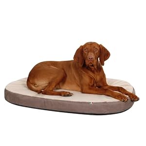 KERBL Matelas à Mémoire Forme Ovale pour Chien 75 x 52 x 8 cm