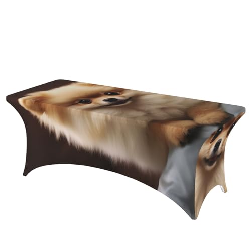 Nappe élasthanne rectangulaire lavable motif Poméranie table