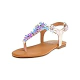 Beverly Hills Polo Club Girls Leatherette T-Strap Slingback with Flowers Appliques Flat Sandal (Toddler), Silver Holog, 6
