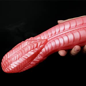 Xocity Realistic Dildos with Strong Suction, Beginner Dildos, Butt ...