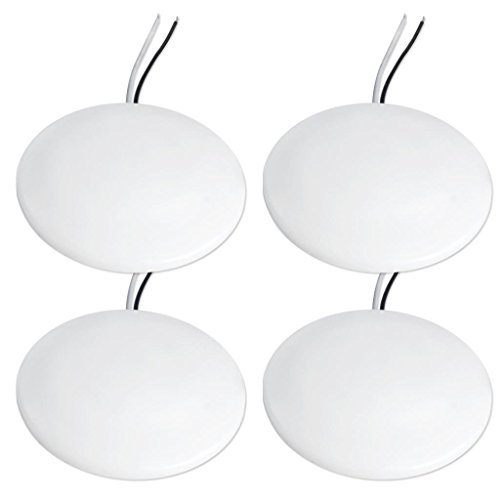 Dream Lighting 4.5-Inch Ceiling Light