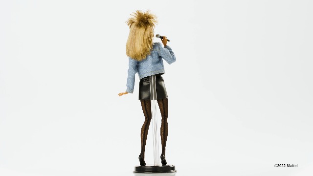 HCB98 - Tina Turner Barbie Doll - 360 on Amazon Live