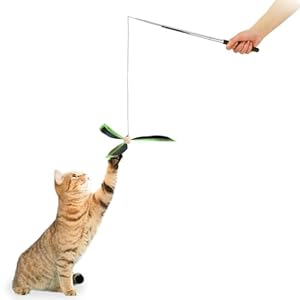 ALL FOR PAWS Feather Cat Wand Toy Kitten Teaser Toys Telescopic Wand Kitty Cat Enrichment Toy for Indoor Cats (Green)