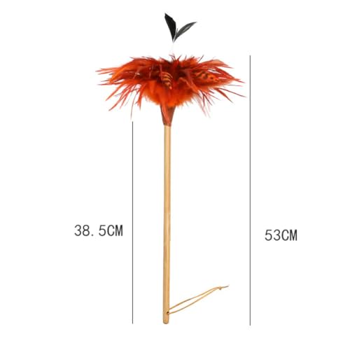 Plumero de plumas naturales reutilizable y limpiadores de persianas con mango 5