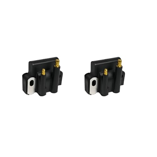 SLSRPMT Ignition Coil 582508 584561 777661 for Most Johnson Evinrude OMC BRP Outboard 4-300 HP Replace Sierra 18-5179 183-2508 183-3737 0777661 0582508 0584561(2PACK)
