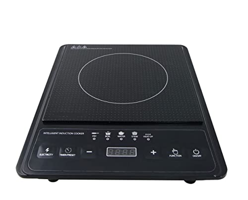 FLM SYSTEM Piastra Induzione 2000W