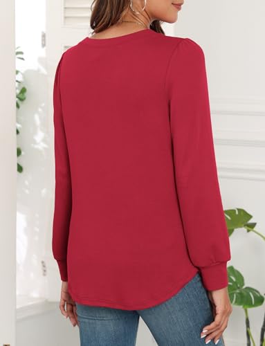 Image of WEACZZY Women Long Sleeve Shirts Crew Neck Tunic Tops Soft Casual Blouses