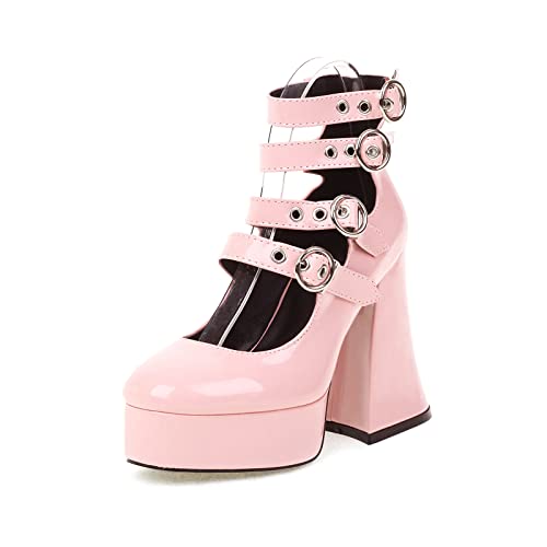 Gothic Shoes for Women Platform Mary Janes Ankle Strap Block High Heel Pumps Goth Heels for Women Y2K Shoes