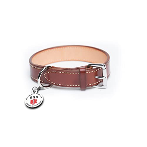 Double Sided Small Breed Emotional Support Animal Esa Tag Red Medical Alert Symbol And Protected By Federal Law .999 Inch Id Tag. Easily Switch Between Collars Harness And Vest. #TOP4