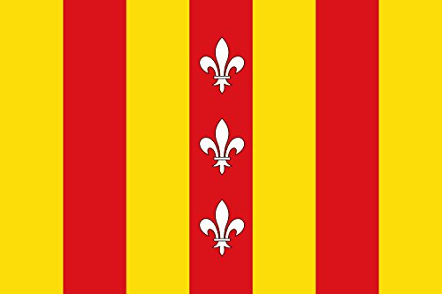 Drapeau de la commune de Duffel en tissu premium résistant aux intempéries