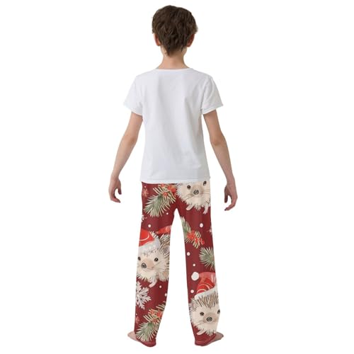 ZZXXB Xmas Hedgehog Pine Branches Boys Long Pants Soft Trousers Elastic Waist Kids Lounge Bottoms with Pockets S-XL3