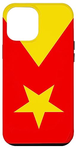 Afrique Drapeau du Tigré, signe de paix, fierté de l'Éthiopie, Tigré Coque pour iPhone 12 Pro Max