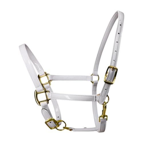 Cabestro portátil para caballos y cuerda de entrenamiento en hipódromos