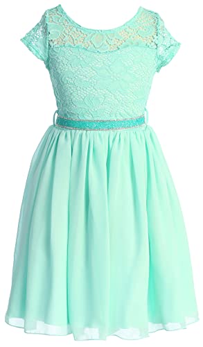 BluNight Collection Little Girl Cap Sleeve Lace Top Chiffon Skirt Flower Girls Dresses