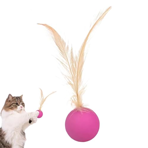 �L���b�g�{�[���g�C | �]����ǂ������������� - �H�t���܊��h���{�[�� �������O�V�ёΉ� ��{�\�^���P�� �ދ������p �L�p�m��ߋ�