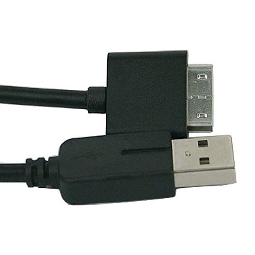WICAREYO 2 en1 USB 2.0 Sync transfert Alimentation câble Chargeur Compatible pour PSP Go