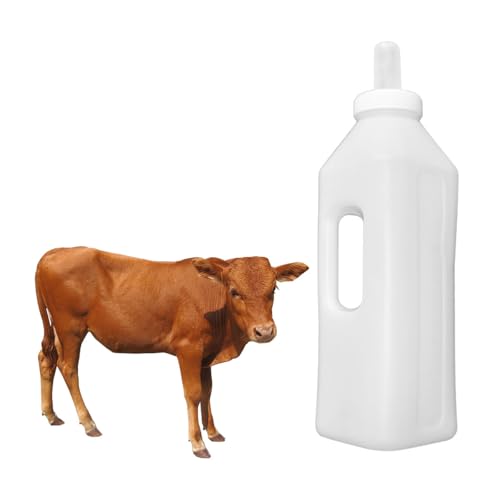 Mipcase 4 eʃnhtqMr Jo[ p t ǎqr e qnΉ 炩ȃ~N _ Ɨp{Ypi