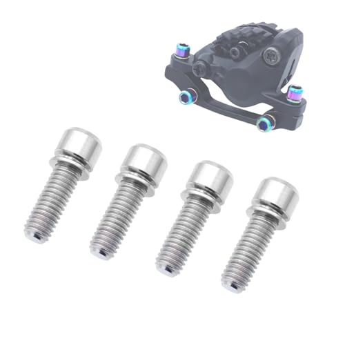 NELboNs ]ԃfBXNu[L{g TC4 `^ M6x18mm ]ԃfBXNu[L{g bV[t [h}EeoCNpA4pbN (Vo[)