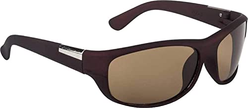 Image of Sunwear Unisex Modern Wrap Around Black,Brown,Green Glass Lens Combo Pack Sunglasses