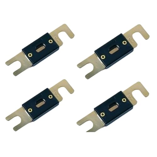 Fusibile 10 pezzi 150A 160A 175A 200A 250A 275A 300A 350A 400A 450A 500A 600A AML Fusibile a collegamento fusibile Fusibile for auto Fusibile a lama(160A)