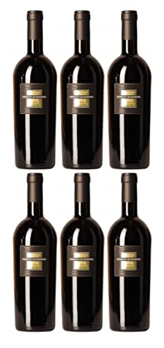 San Marzano Sessantanni Primitivo di Manduria DOP 2019 (6 x 0,75 l)