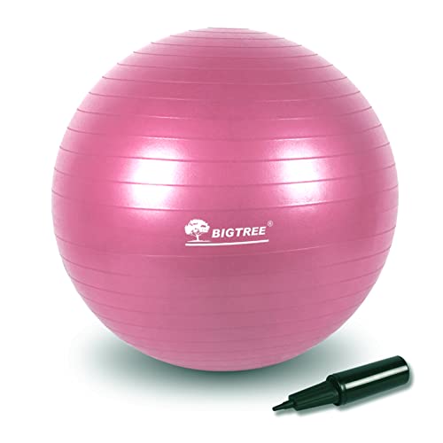 BIGTREE Balón de Ejercicio Anti-Burst para Yoga, Equilibrio, Fitness, Entrenamiento,55cm / 65cm / 75cm Fitness Yoga Ball  (Rosa, 75) Cover