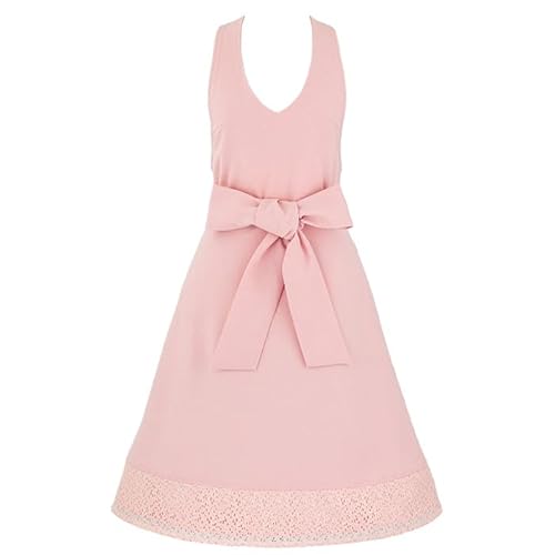 [A[{[e] Gv uh { s[X |GXe100 ̓Mtg jtH[  VFsN[u[XGv ARBR20