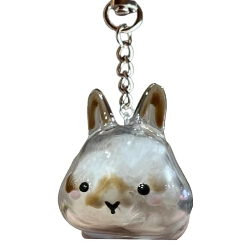 バニーの毛皮の収納ボックス ペット 遺毛 ウサギの毛皮の記念品カプセルペンダント透明カプセル型毛髪収納容器 ペット 遺毛入れ 思い出保存 ペットひげ・抜け毛収納 小動物 メモリアルギフトのサムネイル