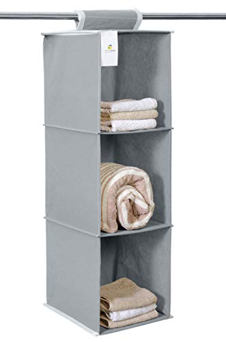 HomeStrap 3-Shelf Closet Hanging Organizer | Durable Non-Woven Fabric Storage Hanger with Engineered...
